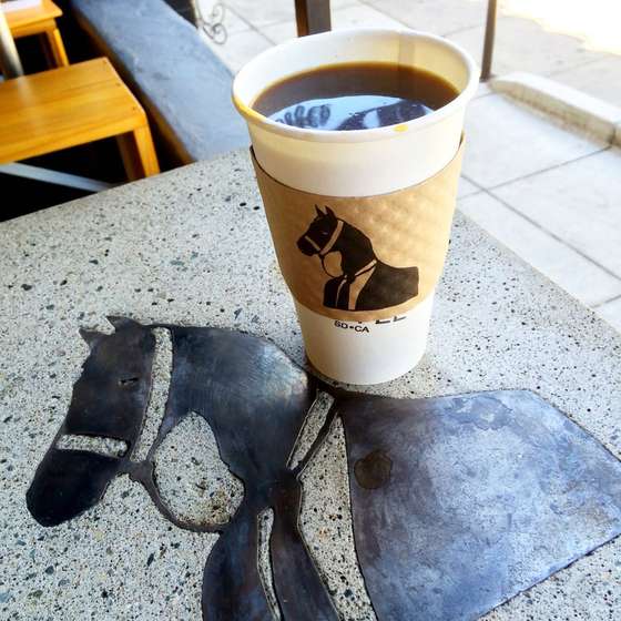 Colombian beans, French press brewed — Dark Horse Coffee Roasters photograph by Roger Ma