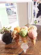 Hammond's Gourmet Ice Cream photograph by Roger Ma