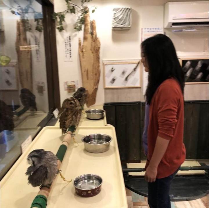 Owl Cafe visit photograph by Roger Ma