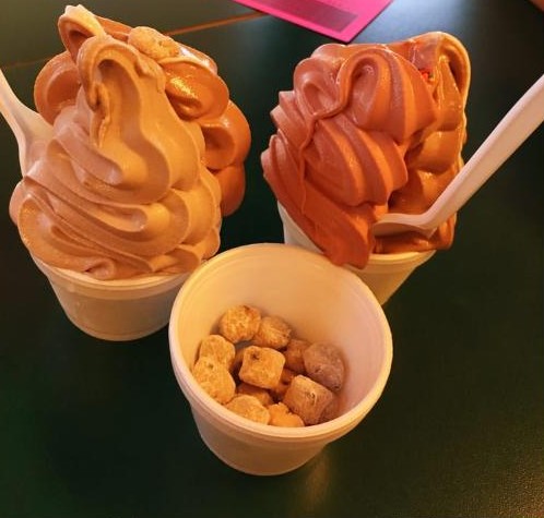 Rockie's Frozen Yogurt visit photograph by Roger Ma