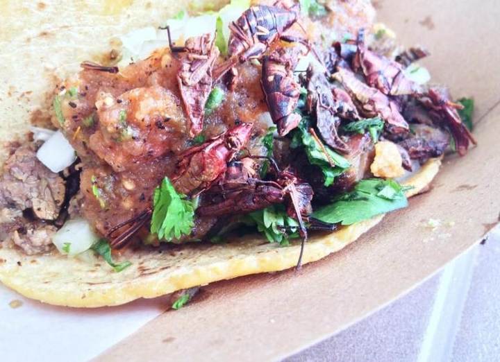 Tacos Perla visit photograph by Roger Ma